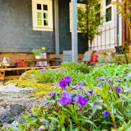 Lägenhet Heinrichser Markt - 2 Schlafzimmer Mit Sauna Und Terrasse Suhl