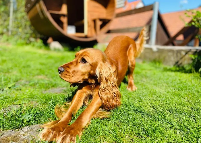 Daire Heinrichser Markt - 2 Schlafzimmer Mit Sauna Und Terrasse *