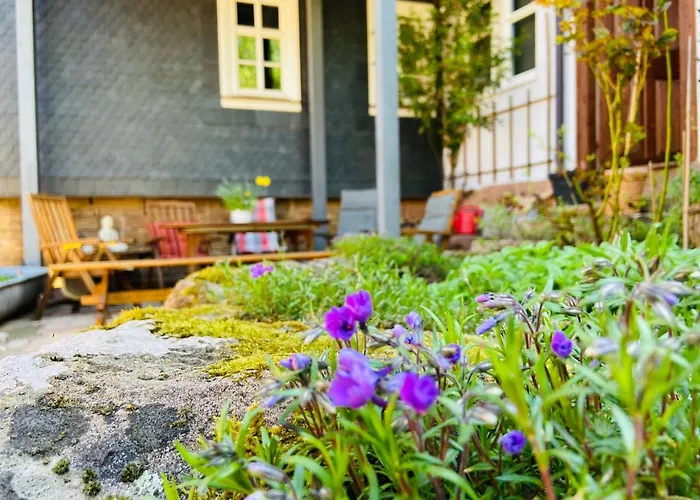 Lägenhet Heinrichser Markt - 2 Schlafzimmer Mit Sauna Und Terrasse Suhl